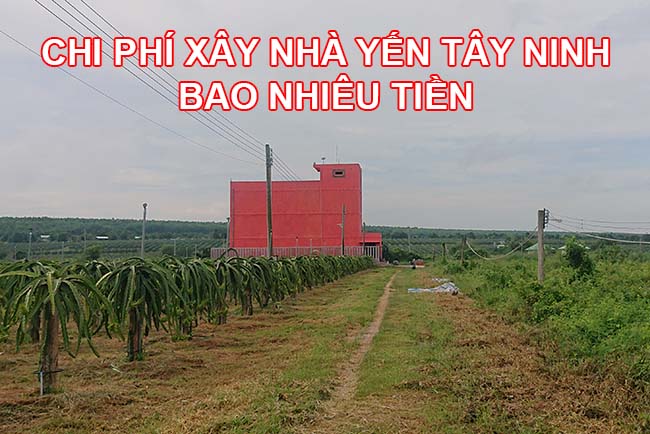 Chi phí xầy nhà nuôi yến Tây Ninh bao nhiêu tiền